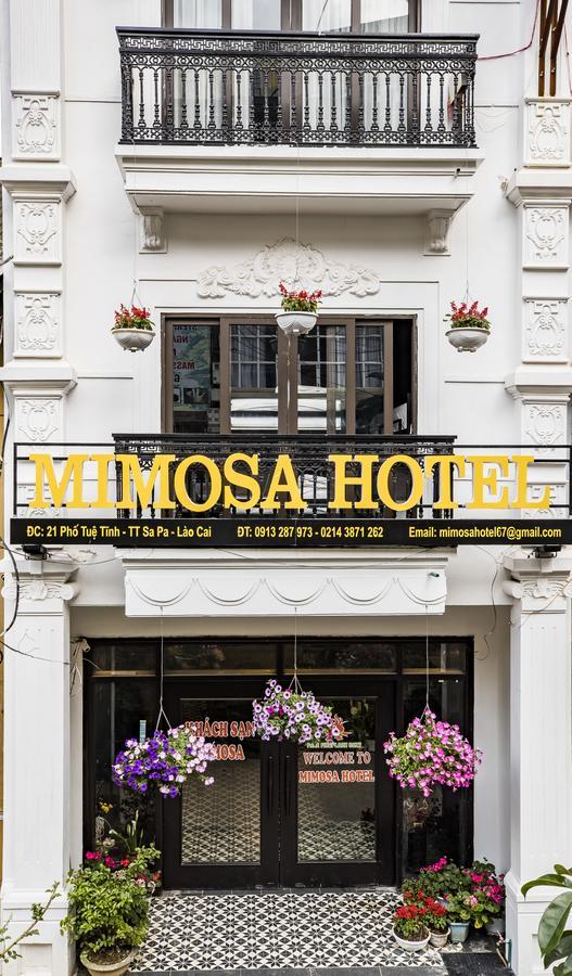 Mimosa Hotel Sapa Экстерьер фото